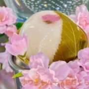 ヒメ日記 2025/03/22 18:56 投稿 桑田心春(くわたこはる) 五十路マダムエクスプレス厚木店(カサブランカグループ)