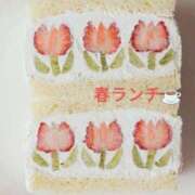 ヒメ日記 2025/03/26 10:26 投稿 桑田心春(くわたこはる) 五十路マダムエクスプレス厚木店(カサブランカグループ)