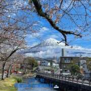 ヒメ日記 2025/03/31 11:06 投稿 桑田心春(くわたこはる) 五十路マダムエクスプレス厚木店(カサブランカグループ)