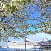 ヒメ日記 2025/04/09 12:04 投稿 桑田心春(くわたこはる) 五十路マダムエクスプレス厚木店(カサブランカグループ)