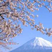 桑田心春(くわたこはる) 春の.... 五十路マダムエクスプレス厚木店(カサブランカグループ)