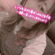 ヒメ日記 2025/02/03 11:08 投稿 せりな 京都デリヘル倶楽部FIRST