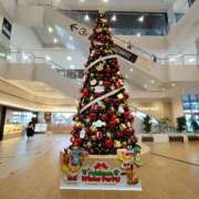 ヒメ日記 2025/11/08 12:44 投稿 せりな 京都デリヘル倶楽部FIRST