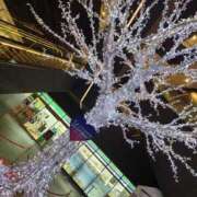 ヒメ日記 2025/12/16 11:29 投稿 せりな 京都デリヘル倶楽部FIRST