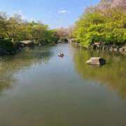 ヒメ日記 2026/03/09 20:15 投稿 せりな 京都デリヘル倶楽部FIRST