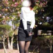 ヒメ日記 2025/02/06 00:59 投稿 みさき [優良人妻店]セレブスタイル（山口～防府～萩）