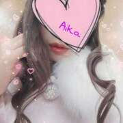 ヒメ日記 2024/12/10 19:03 投稿 あいか マダムの品格