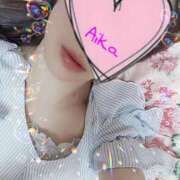 ヒメ日記 2025/11/03 19:28 投稿 あいか マダムの品格