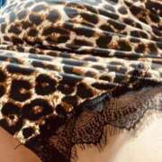 ヒメ日記 2025/07/26 10:39 投稿 かえで 愛媛松山ちゃんこ