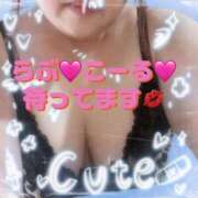 ヒメ日記 2025/08/13 00:29 投稿 かえで 愛媛松山ちゃんこ