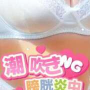 ヒメ日記 2025/08/17 10:09 投稿 かえで 愛媛松山ちゃんこ