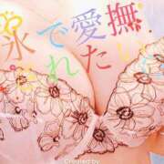 ヒメ日記 2025/08/18 11:19 投稿 かえで 愛媛松山ちゃんこ