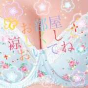 ヒメ日記 2025/08/27 13:29 投稿 かえで 愛媛松山ちゃんこ