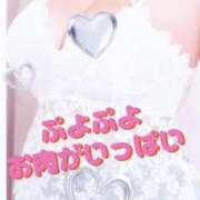 ヒメ日記 2025/09/01 21:49 投稿 かえで 愛媛松山ちゃんこ