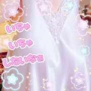 ヒメ日記 2025/09/04 13:17 投稿 かえで 愛媛松山ちゃんこ