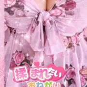 ヒメ日記 2025/09/06 17:49 投稿 かえで 愛媛松山ちゃんこ