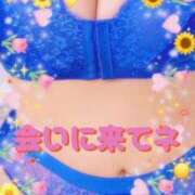 ヒメ日記 2025/09/07 10:49 投稿 かえで 愛媛松山ちゃんこ