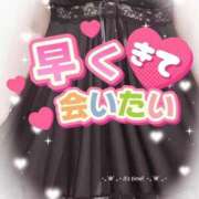 ヒメ日記 2025/09/08 12:09 投稿 かえで 愛媛松山ちゃんこ