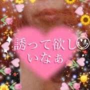 ヒメ日記 2025/09/08 13:09 投稿 かえで 愛媛松山ちゃんこ