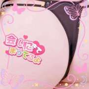 ヒメ日記 2025/09/11 11:19 投稿 かえで 愛媛松山ちゃんこ