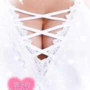 ヒメ日記 2025/09/17 15:29 投稿 かえで 愛媛松山ちゃんこ