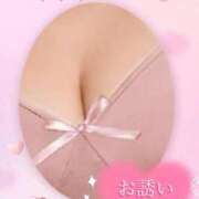 ヒメ日記 2025/09/20 17:19 投稿 かえで 愛媛松山ちゃんこ