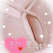 ヒメ日記 2025/09/24 17:49 投稿 かえで 愛媛松山ちゃんこ