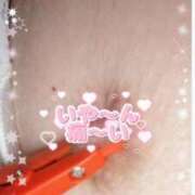 ヒメ日記 2025/10/01 11:29 投稿 かえで 愛媛松山ちゃんこ