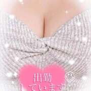 ヒメ日記 2025/10/02 13:19 投稿 かえで 愛媛松山ちゃんこ