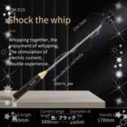 ヒメ日記 2025/10/09 10:39 投稿 かえで 愛媛松山ちゃんこ