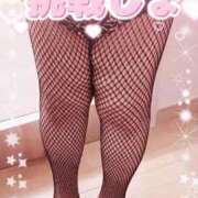 ヒメ日記 2025/10/15 08:09 投稿 かえで 愛媛松山ちゃんこ