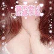 ヒメ日記 2025/10/27 10:19 投稿 かえで 愛媛松山ちゃんこ