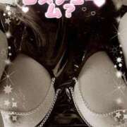 ヒメ日記 2025/11/01 12:19 投稿 かえで 愛媛松山ちゃんこ