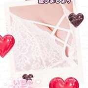 ヒメ日記 2025/11/01 15:09 投稿 かえで 愛媛松山ちゃんこ