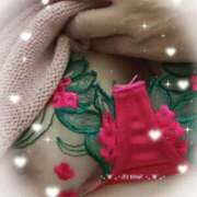 ヒメ日記 2025/11/19 11:49 投稿 かえで 愛媛松山ちゃんこ