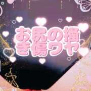 ヒメ日記 2025/11/26 15:59 投稿 かえで 愛媛松山ちゃんこ