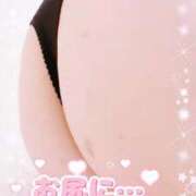 ヒメ日記 2025/12/16 12:29 投稿 かえで 愛媛松山ちゃんこ