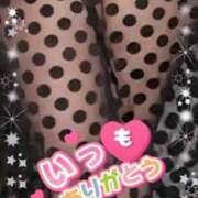 ヒメ日記 2026/02/24 18:19 投稿 かえで 愛媛松山ちゃんこ