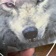 ヒメ日記 2025/09/09 08:24 投稿 かづき 成田人妻花壇