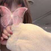 ヒメ日記 2025/11/26 08:35 投稿 かづき 成田人妻花壇