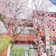 ヒメ日記 2026/04/03 09:30 投稿 かづき 成田人妻花壇