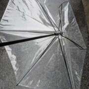 ヒメ日記 2025/03/19 13:07 投稿 むぎ ウルトラグレイス24