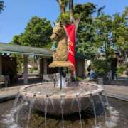 ヒメ日記 2025/05/06 19:50 投稿 むぎ ウルトラグレイス24