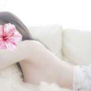 ヒメ日記 2025/10/20 09:46 投稿 ねね Body Special(ボディスペシャル)