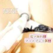 ヒメ日記 2026/02/19 12:38 投稿 ねね Body Specia1～ボディスペシャル～