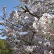 ヒメ日記 2026/03/08 21:38 投稿 ねね Body Specia1～ボディスペシャル～