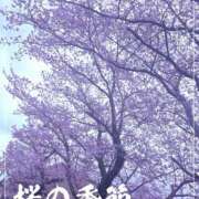ヒメ日記 2026/04/01 19:14 投稿 ねね Body Specia1～ボディスペシャル～
