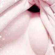 ヒメ日記 2026/04/02 10:05 投稿 ねね Body Specia1～ボディスペシャル～