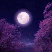 ねね ※無題 Body Specia1～ボディスペシャル～