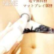 ヒメ日記 2026/04/12 10:24 投稿 ねね Body Specia1～ボディスペシャル～